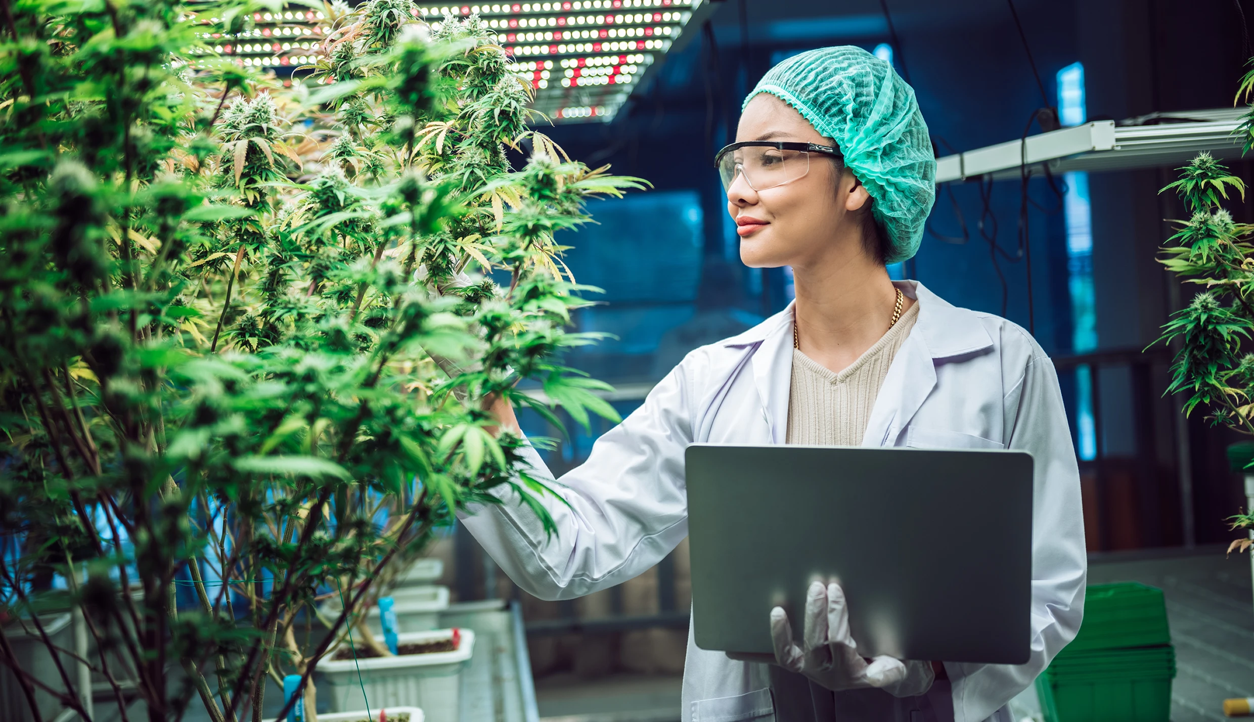 Researcher with laptop in laboratory