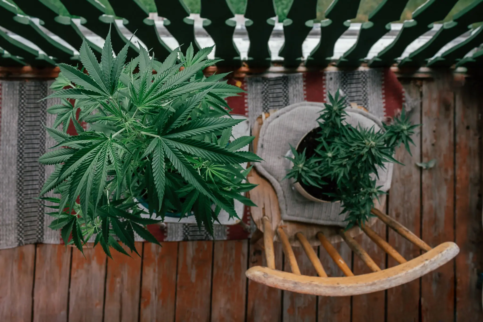 Balcony with plants and wooden chair
