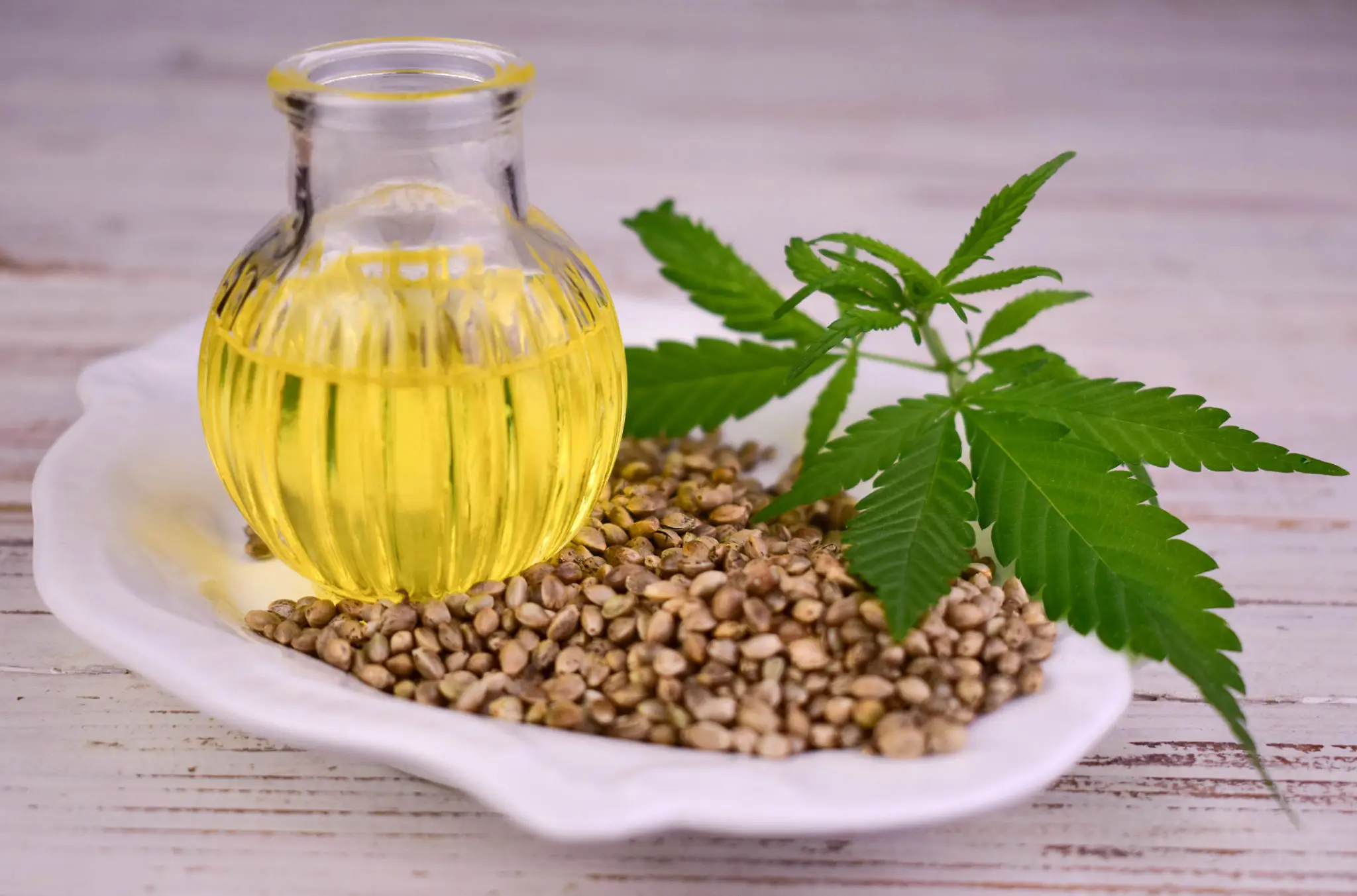 Natural hemp oil and seeds on plate