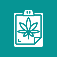 Hemp plant illustration on teal background