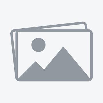 Image placeholder icon with mountains
